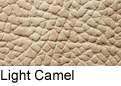 Light Camel