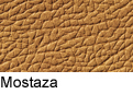 Mostaza - Mostarda